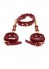 D-Ring Collar and Wrist Cuffs Red